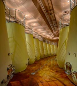 Tuscany bike tour - Volterra wine cellar experience