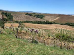 Tuscany cycling tour - Organic farm food and wine experience