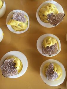 Tuscany bike tours - Truffle day experience